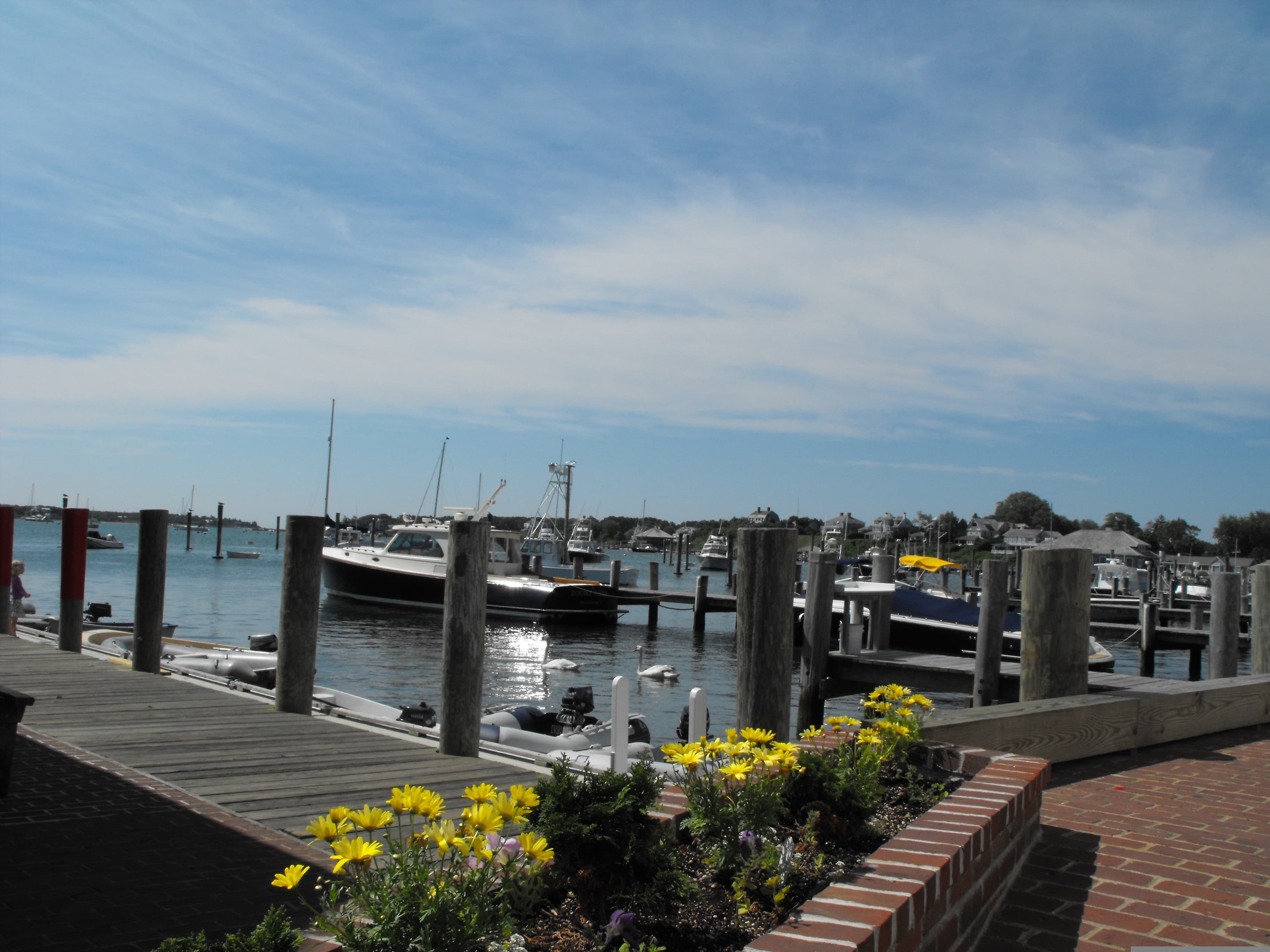 Martha's Vineyard